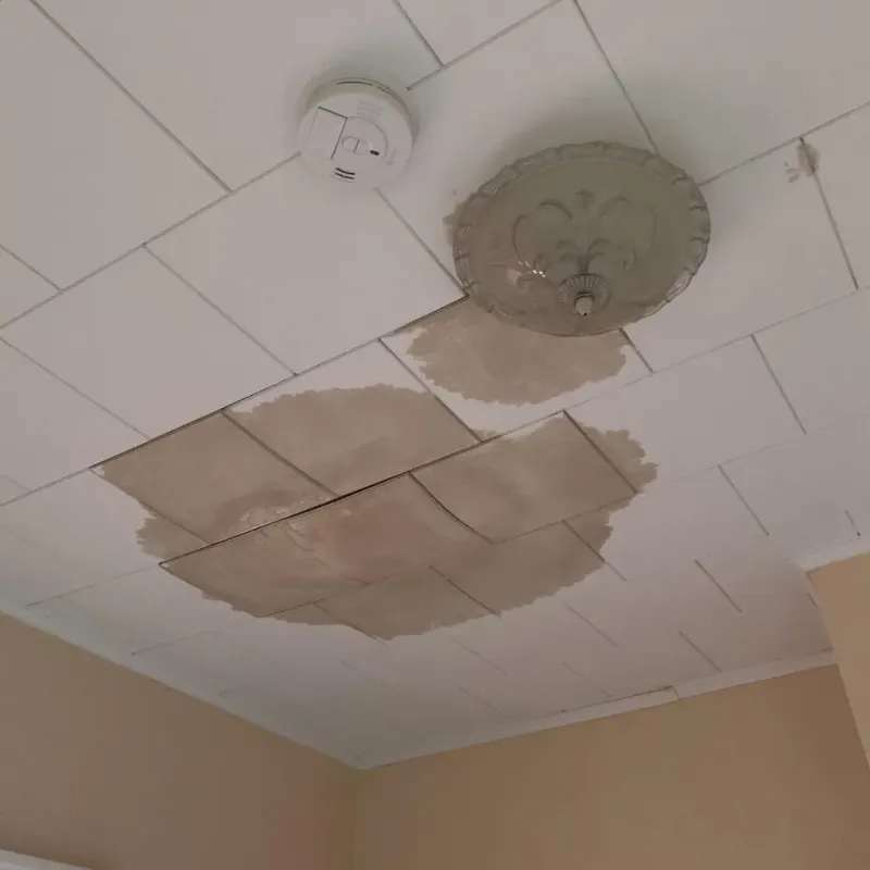 Ceiling Water Damage Repair in Lindstrom, MN